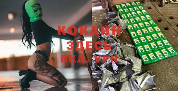 эйфоретик Вяземский