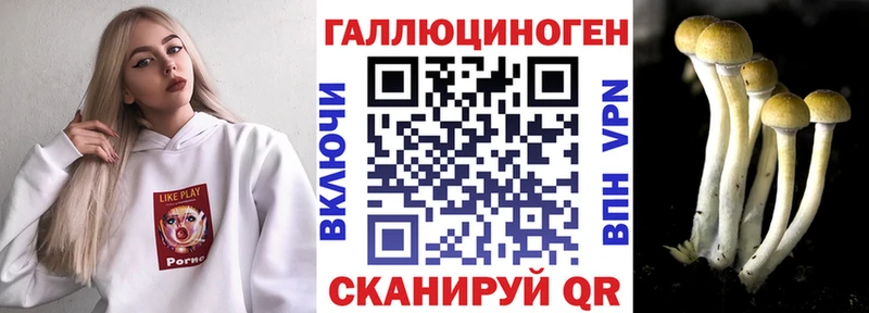 продажа наркотиков  Заводоуковск  Галлюциногенные грибы MAGIC MUSHROOMS 